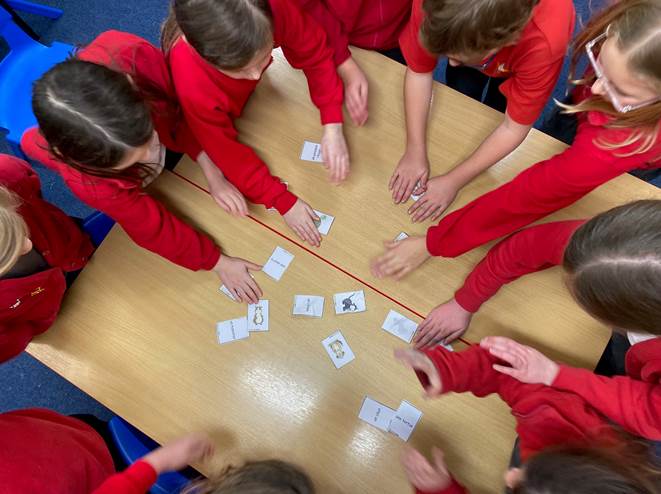 French Y5-6 (1)