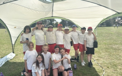 Keyworth Cricket Festival