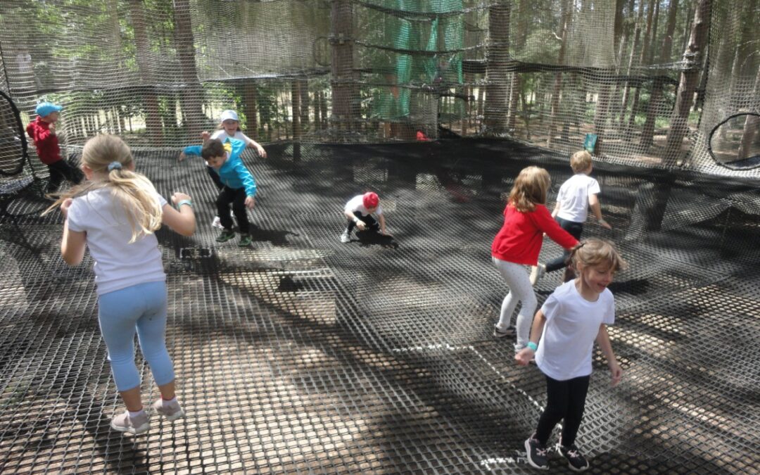 Go Ape!