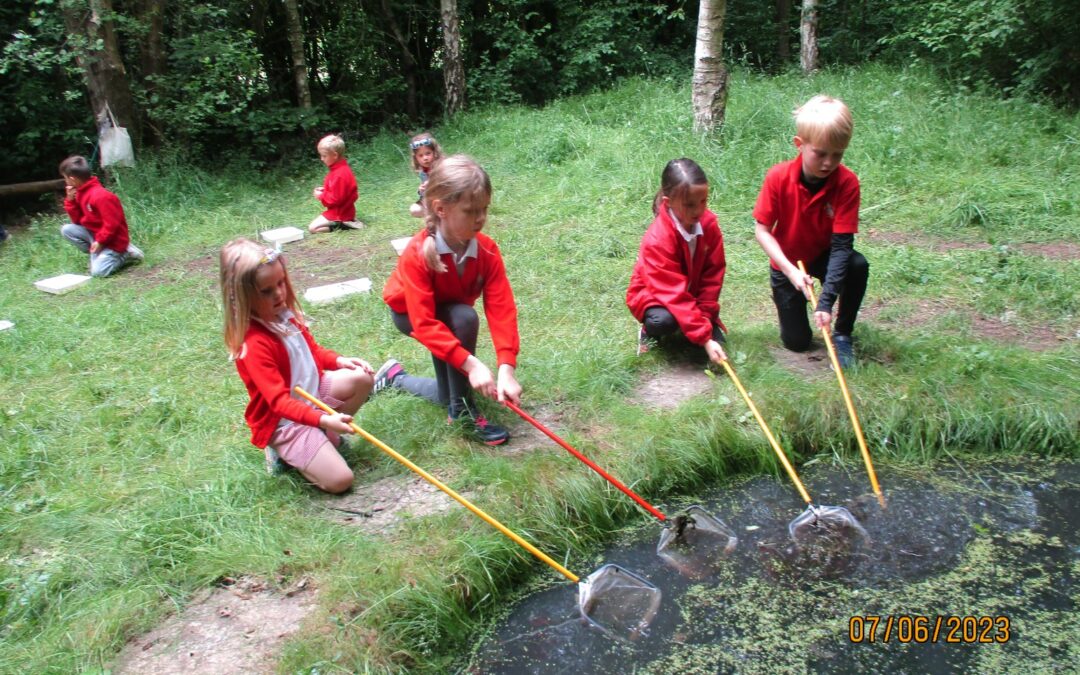 Pond dipping, minibeast hunting and animal homes